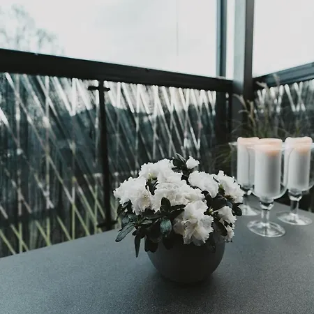 Oeoe Street Luxury Apartment With Terrace Tartu Extérieur photo