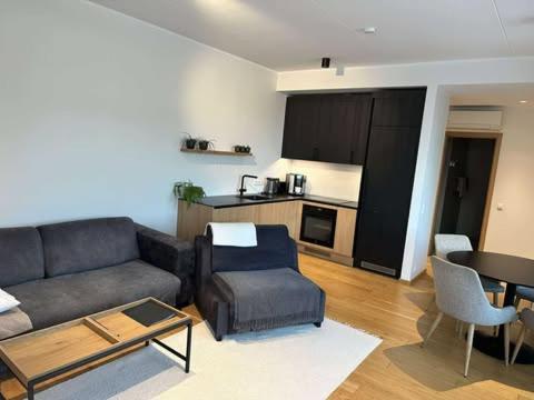 Oeoe Street Luxury With Terrace * Tartu